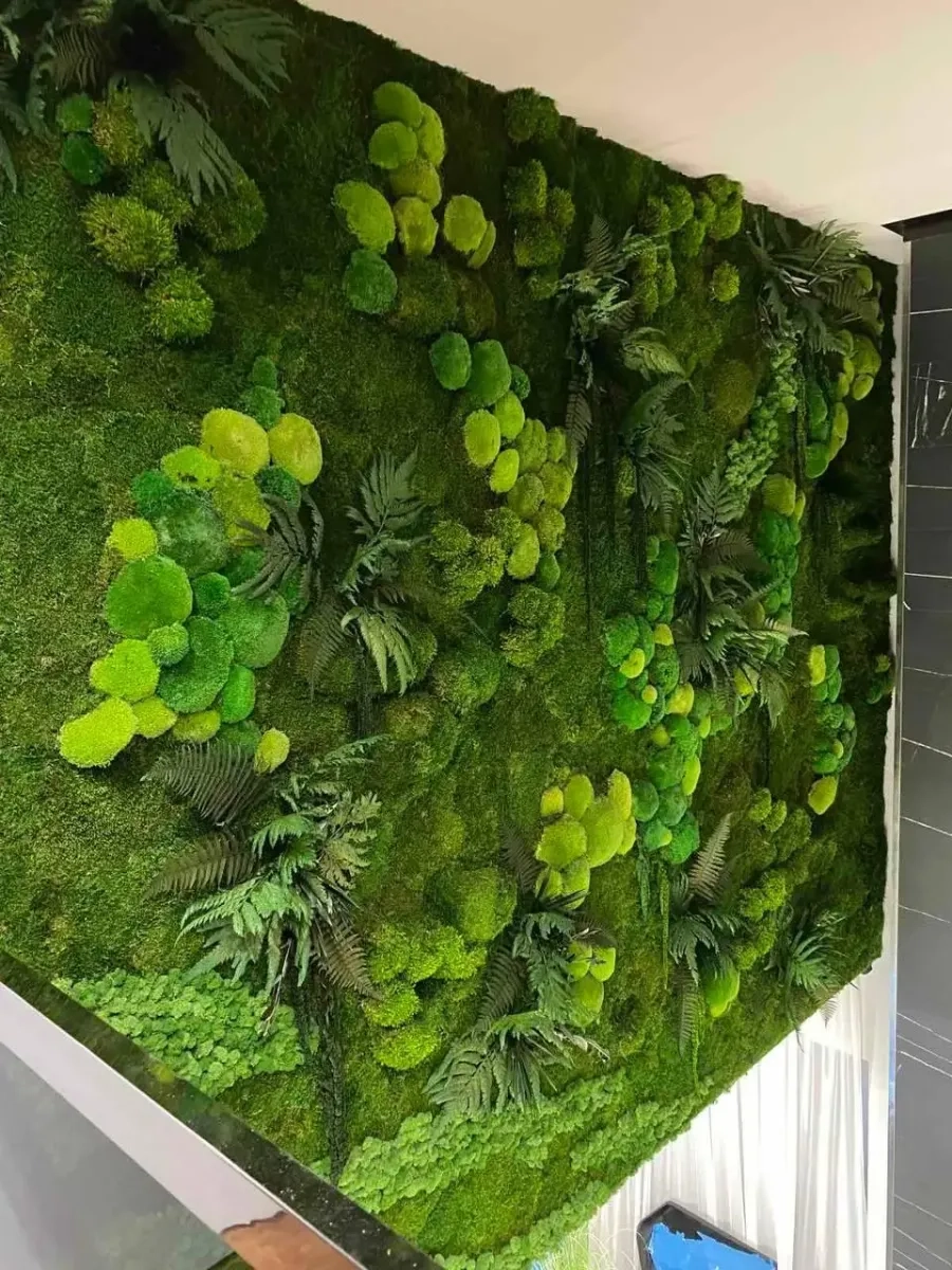 Жива стіна з рослин у вітальню, спальню. Жива композиція із квітів