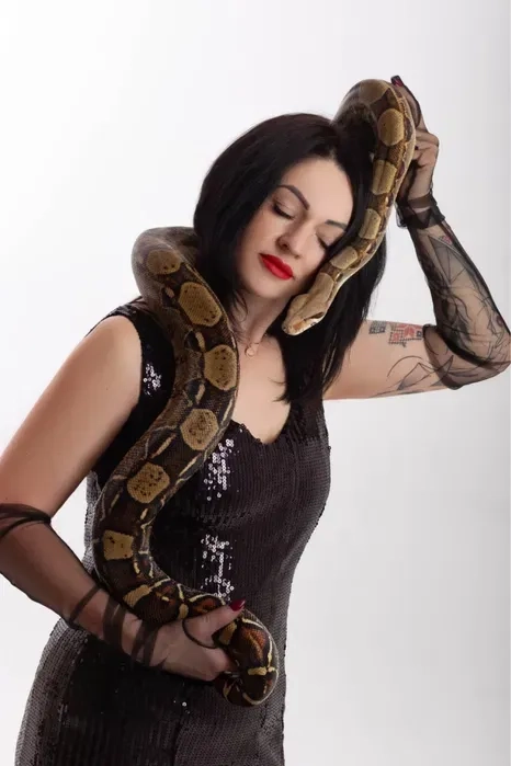 Удав для фото