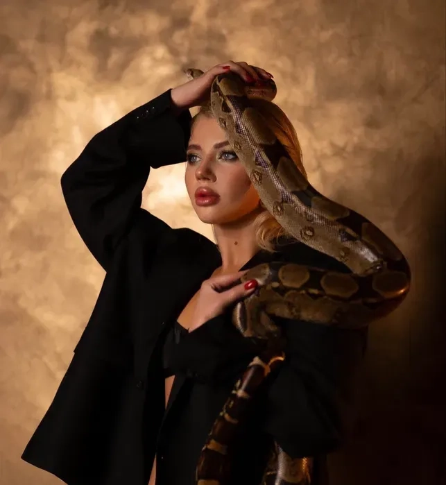 Удав для фото