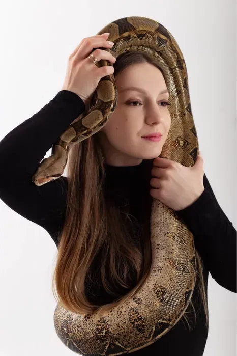 Удав для фото