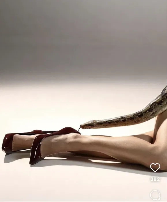 Удав для фото