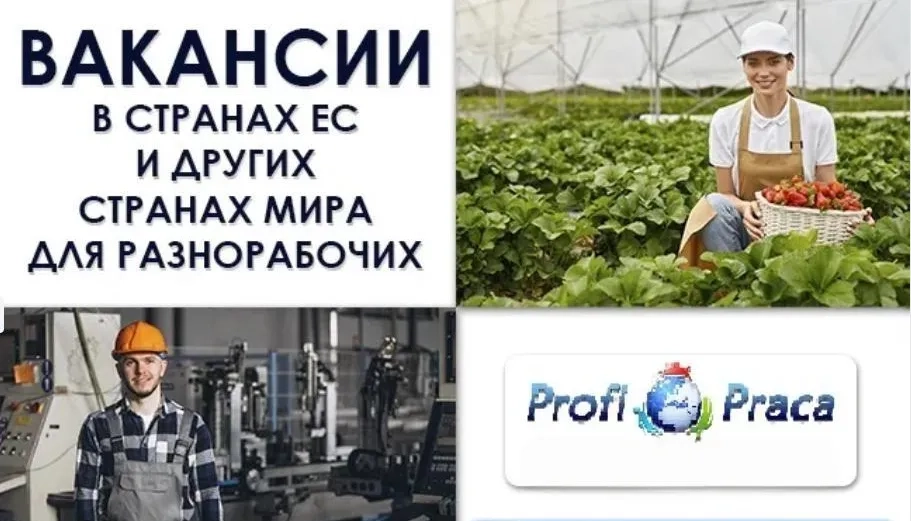 Робоча віза та легалізація у Німеччині.