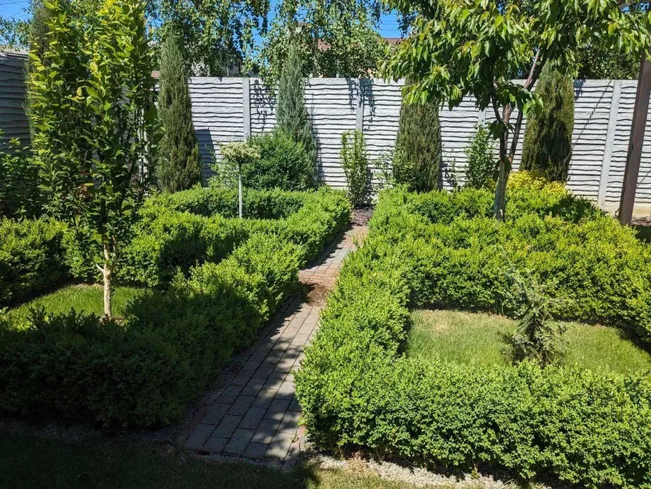 Садівник, газон, обрізка, обробка, топіарі, ниваки, стрижка туй