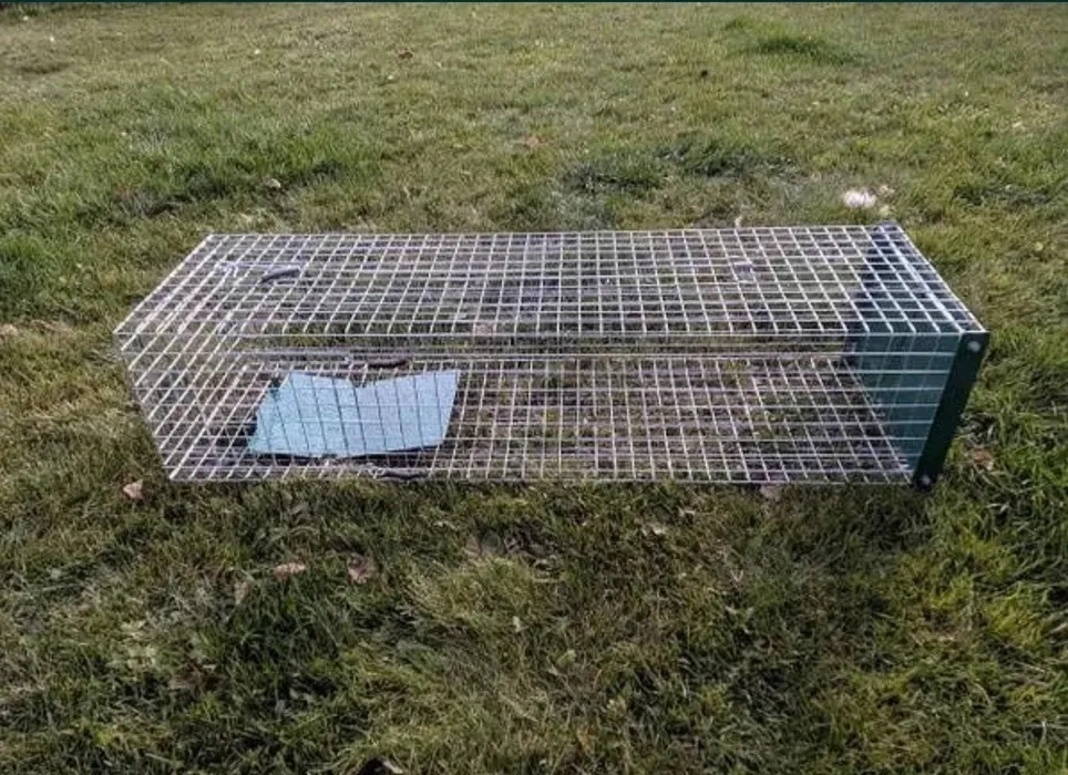 Котоловка, пастка, клітка для відлову котів, живоловка, ловушка