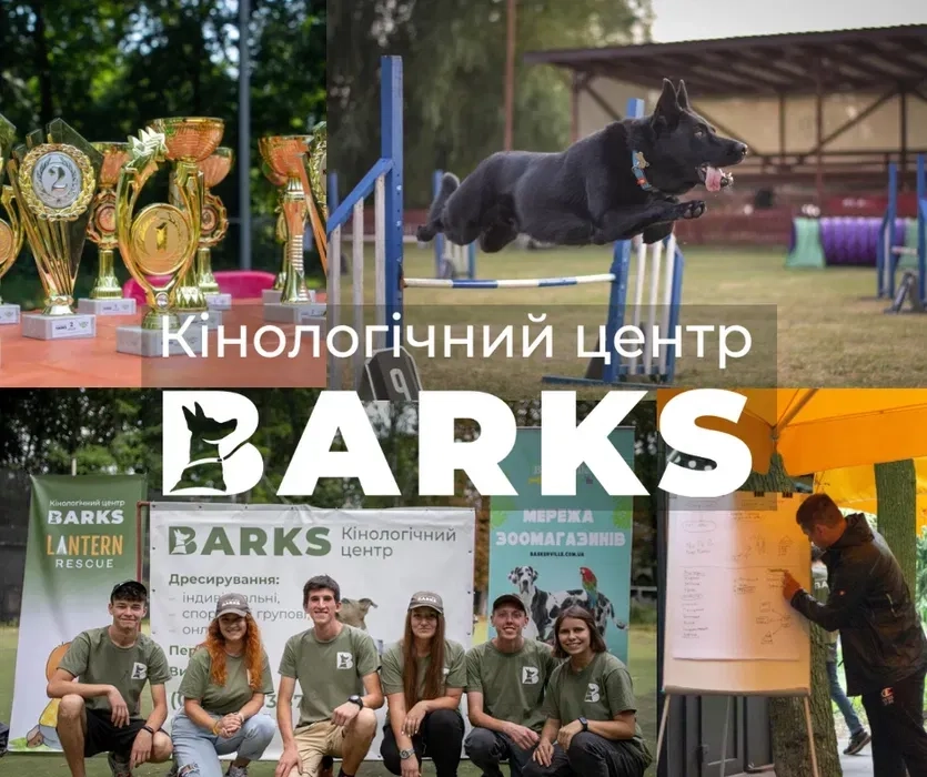 Дресирування собак | Кінолог Вінниця Ваш собака стане слухняним вже після перших занять!