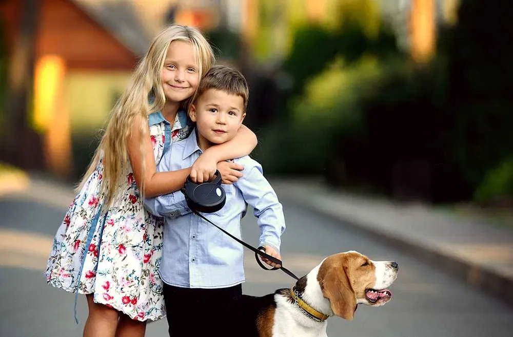 Фотограф на весілля. Весільна фотосесія. Якісно. Шикарний результат.