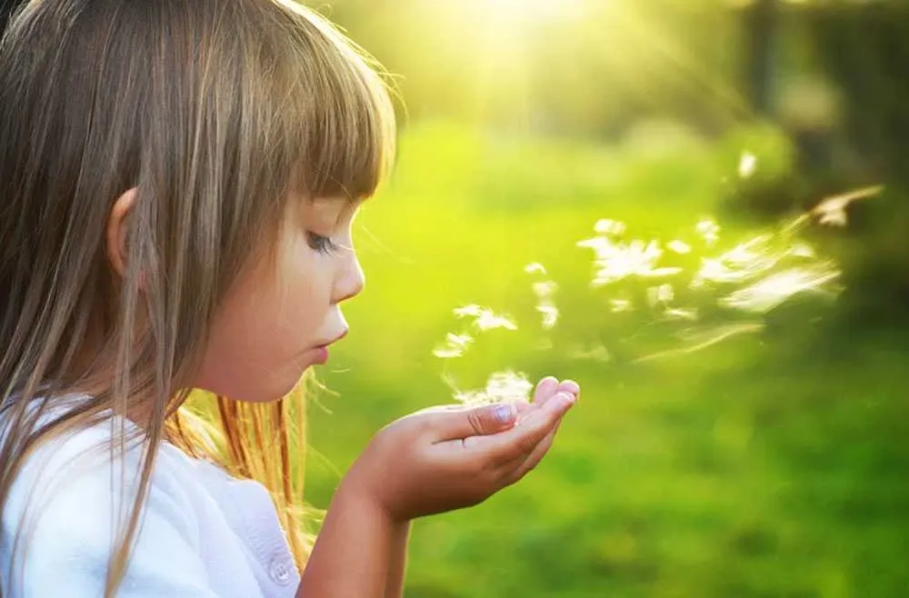 Фотограф на весілля. Весільна фотосесія. Якісно. Шикарний результат.