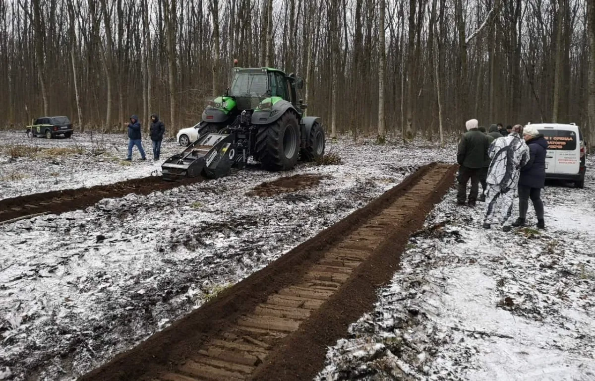Мульчер PICURSA HAMMER-T корчує пні