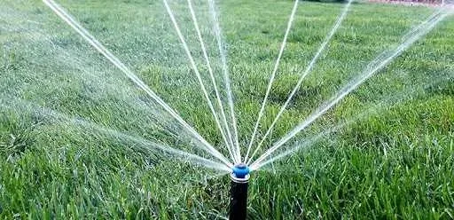 Автоматичний полив, рулонний газон