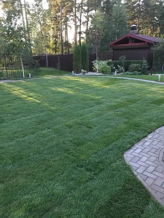 Стрижка газону (покіс трави)