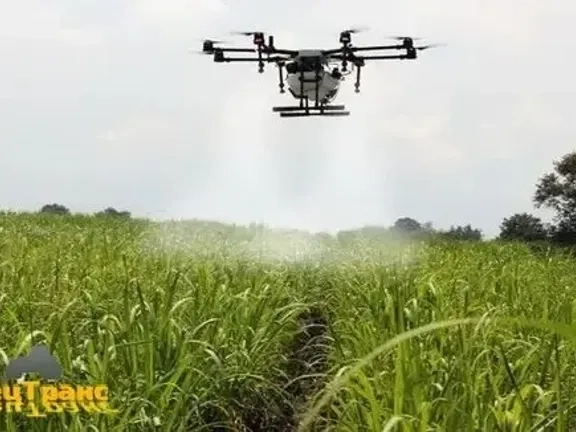 Агродрон для полів. Точність та якість