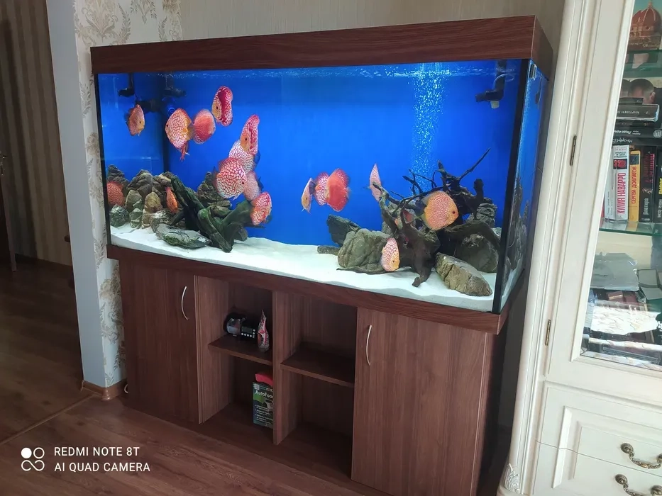 Професійне виготовлення акваріумів під індивідуальне замовлення будь-яких форм, розмірів та складності конструкції