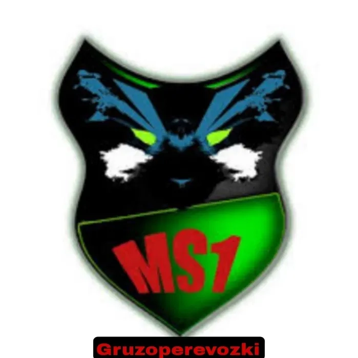 MS1 Офіційно команда з вивезення сміття, мотлоху, демонтаж