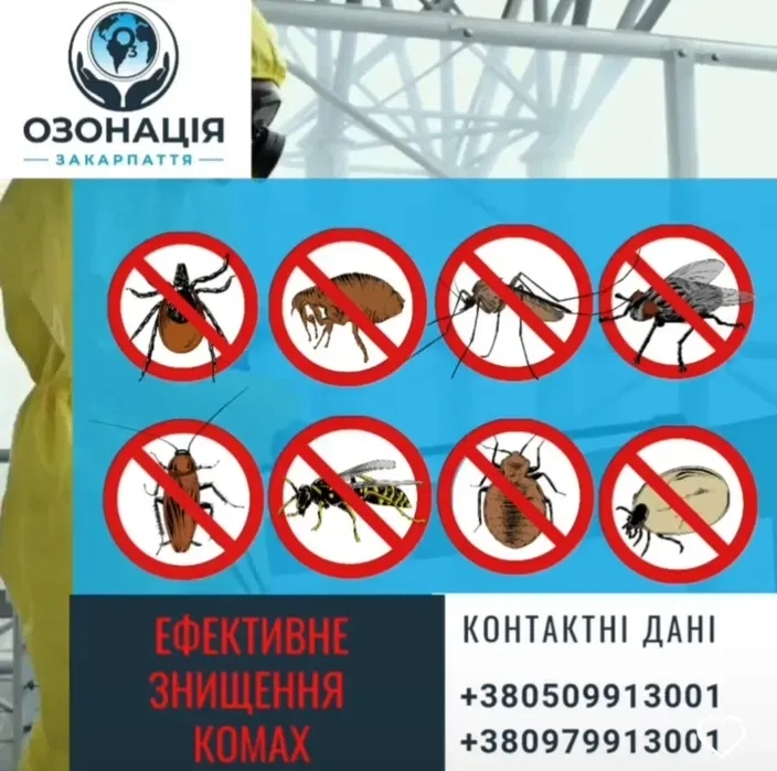 Професійне знищення тарганів, щурів, клопів, мурашок та інших шкідник