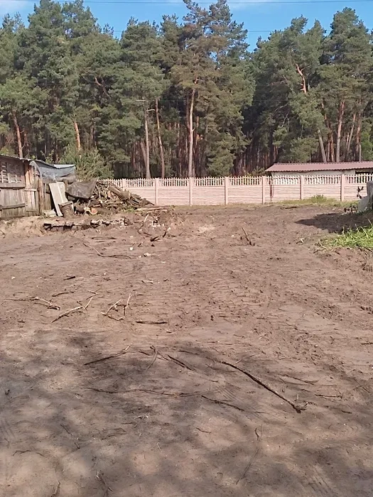 Виконую демонтажні, земляні роботи,порізку дров і зрізання дерев