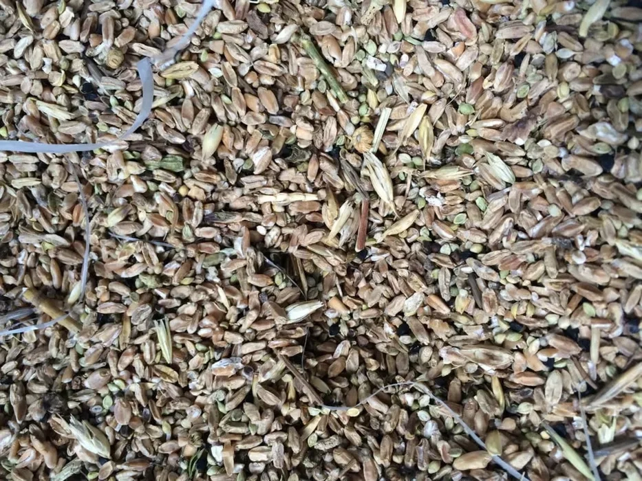 Зерновідходи на постійній основі. Цікавлять: Лушпиння проса, соняшника, рису. Висівки, мучка. Інші зерновідходи.