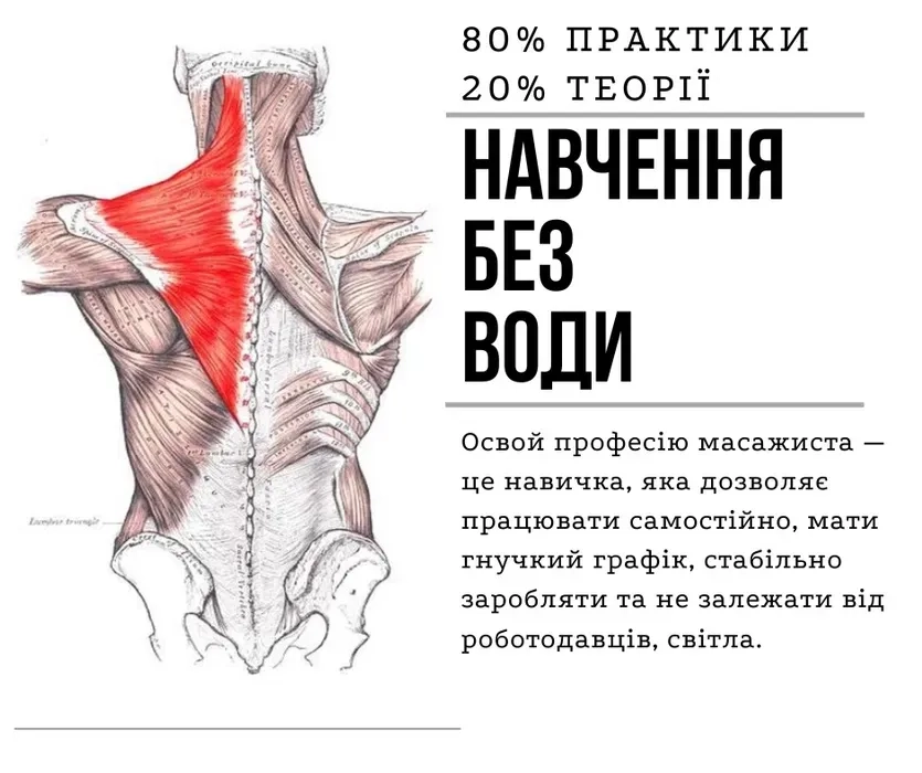 Навчання масажу у Дніпрі. Групові та індивідуальні курси масажу.