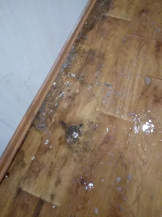 Чи не Фірма Прибирання квартир!