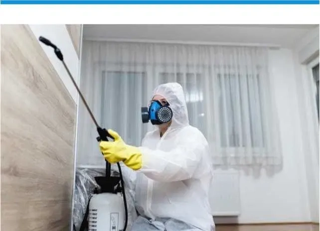 Ефективна травля тарганів у квартирах, будинках та приміщеннях