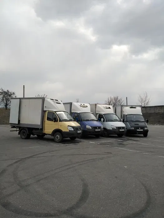 Вантажоперевезення до 2 т рефрижератором професійно