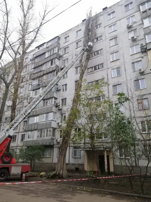 Автовишка 25 м.