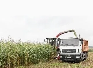 Збирання сінажу на силос, підбір трави комбайном Claas Jaguar 980