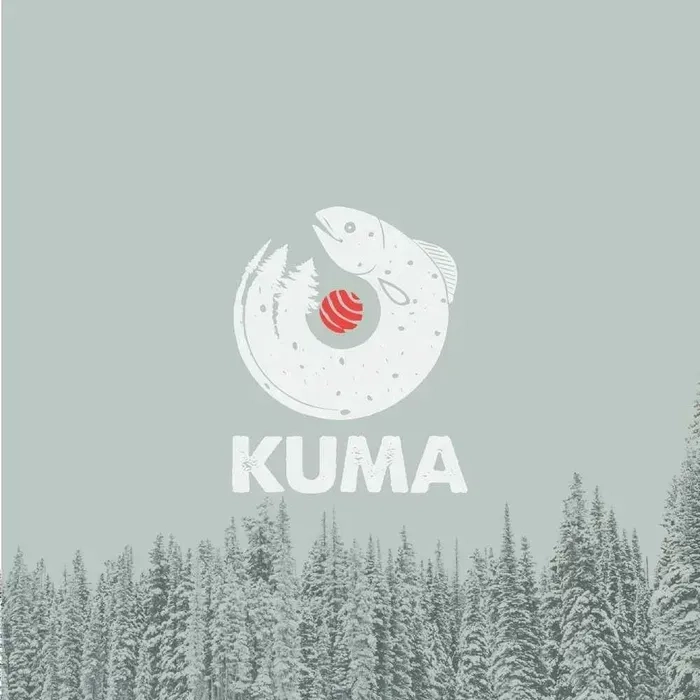 Розробка логотипів | логотип за кілька днів | дизайнер