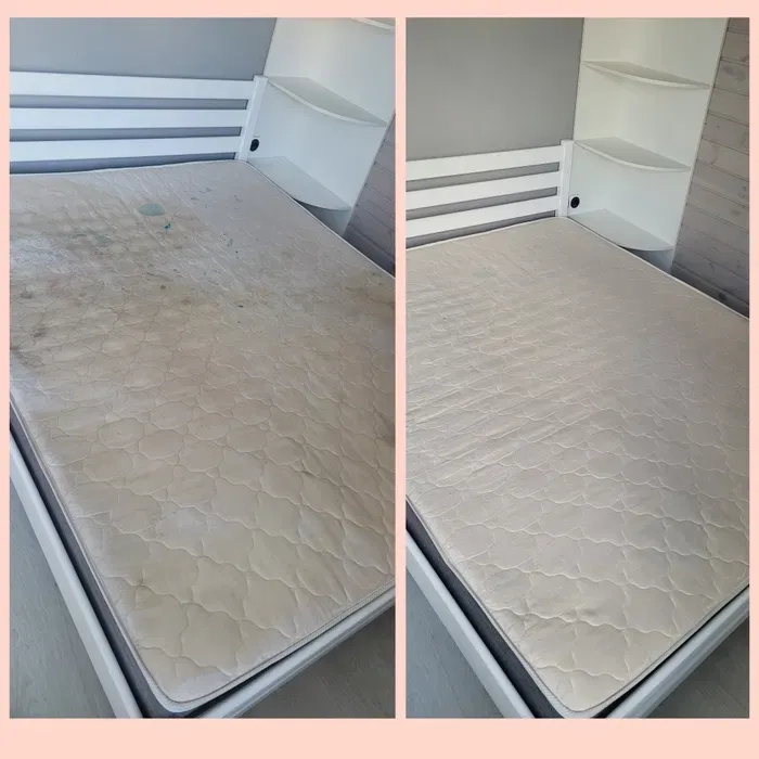 Миючий пилосос puzzi 8