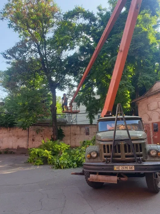 Спил дерев будь якої складності | Розчистка ділянок, вивіз сміття