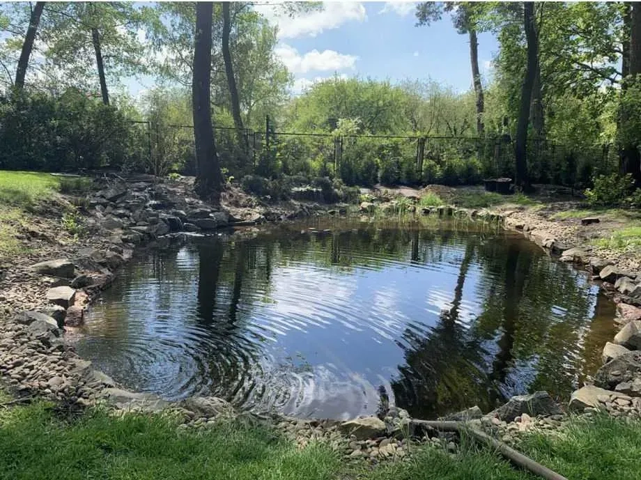 Будівництво плавальних ставків. Природні басейни. Эко пруд.