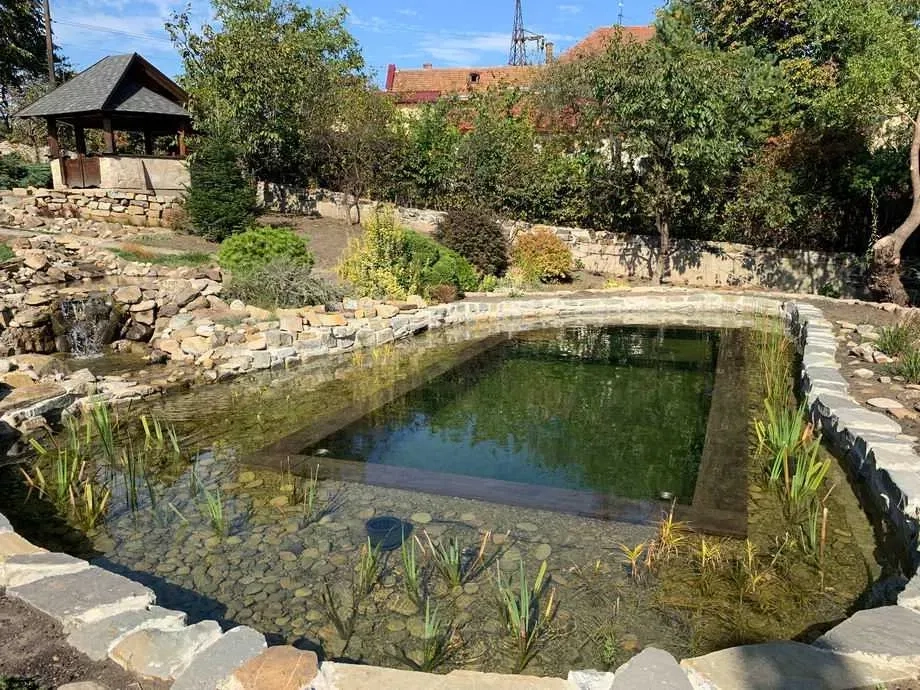 Будівництво плавальних ставків. Природні басейни. Эко пруд.