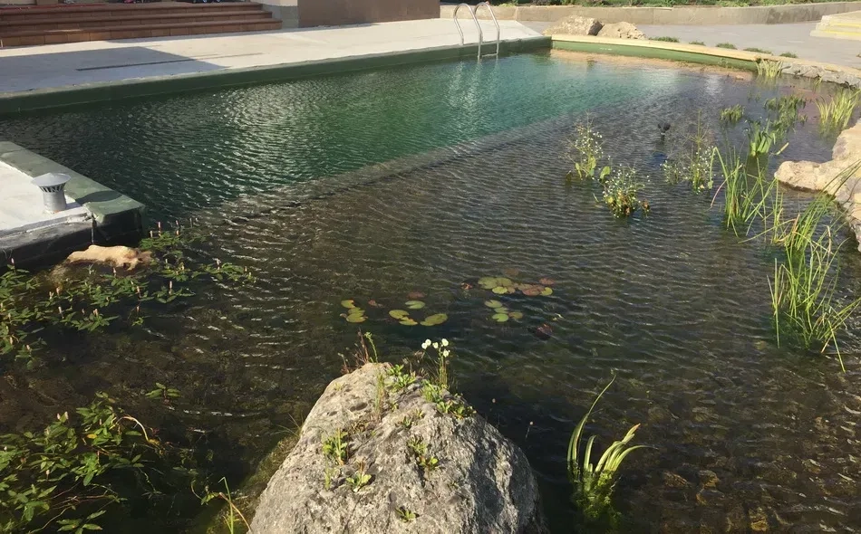Будівництво плавальних ставків. Природні басейни. Эко пруд.