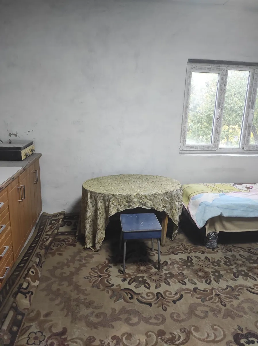 Частина будинку Калинова, Софії Ковалевської, 1 кімната