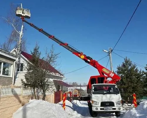 Професійне спилювання дерев