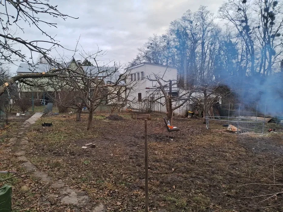 Спил дерев, обрізка плодових , розпил та рубка дров