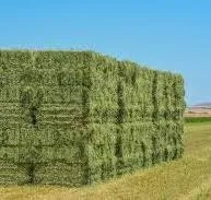 Тюкування люцерни с. Левків, Житомирська обл