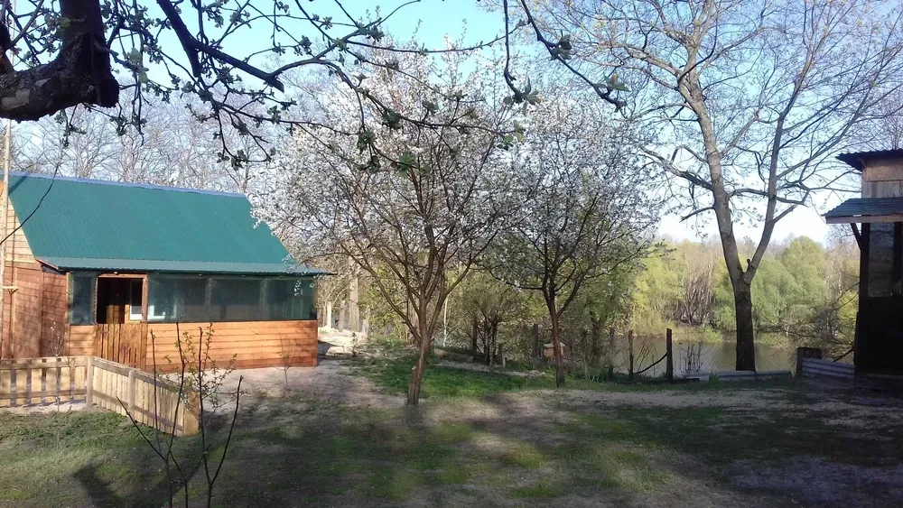 Будинок біля річки