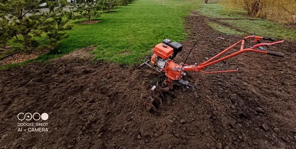 Посів газону під ключ