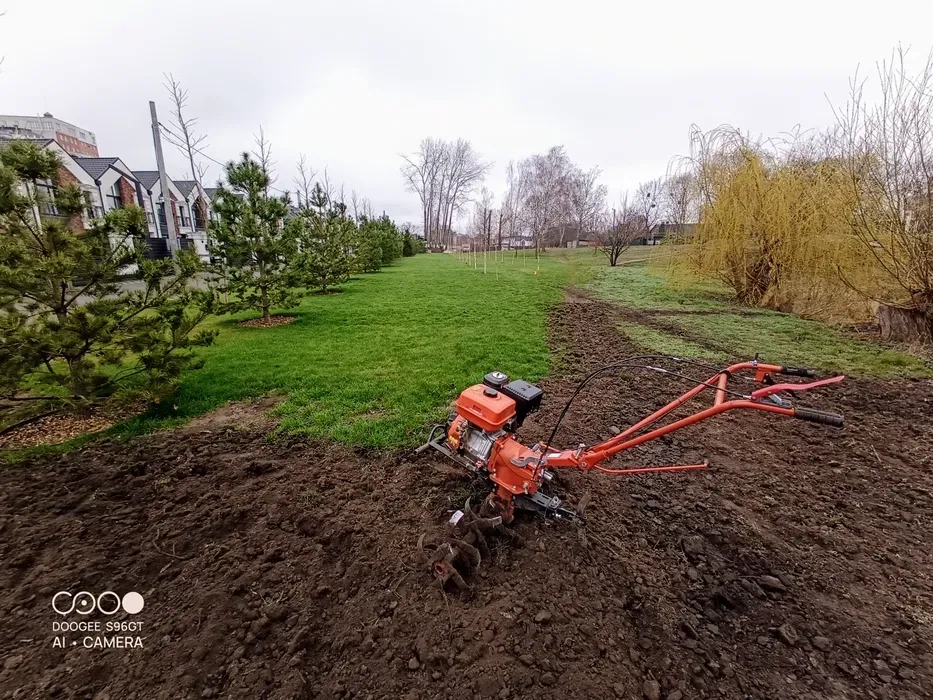 Посів газону під ключ