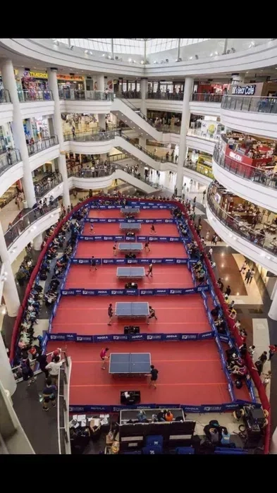 Тенісні столи, ракетки, робот для настільного тенісу