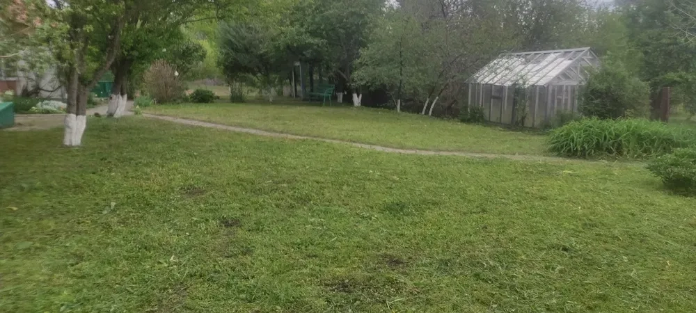 Покос трави. Розчистка ділянок. Дроблення гілок. Послуги щепоріза!