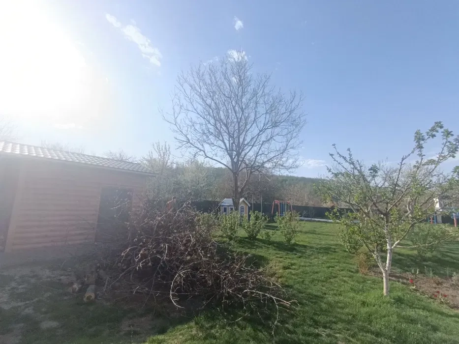 Покос трави. Розчистка ділянок. Дроблення гілок. Послуги щепоріза!