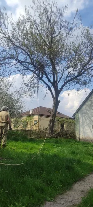 Покос трави. Розчистка ділянок. Дроблення гілок. Послуги щепоріза!