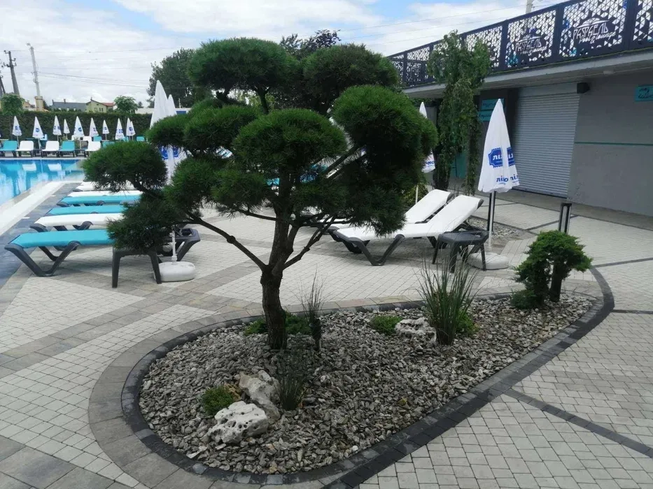 Ландшафтний дизайн Ландшафтный дизайн догляд полив рулонний газон