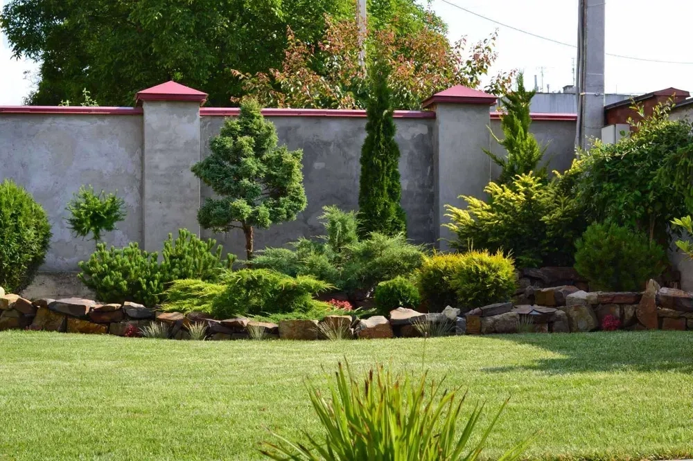 Ландшафтний дизайн Ландшафтный дизайн догляд полив рулонний газон