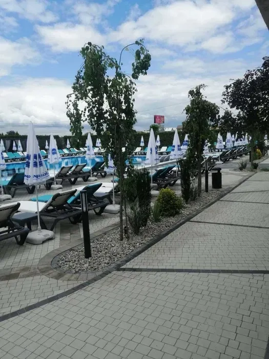 Ландшафтний дизайн Ландшафтный дизайн догляд полив рулонний газон