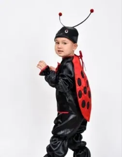 Костюм жук сонечко