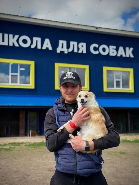 Навчання собаки. Школа собак Дред. Кінолог