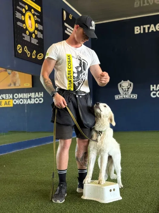 Навчання собаки. Школа собак Дред. Кінолог