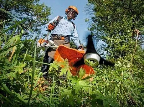 Покос трави, спил дерев , корчування пенька , прибирання ділянки